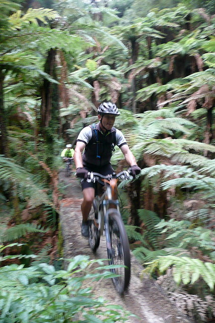 Paul on Whirinaki's famous tree trunk bridge