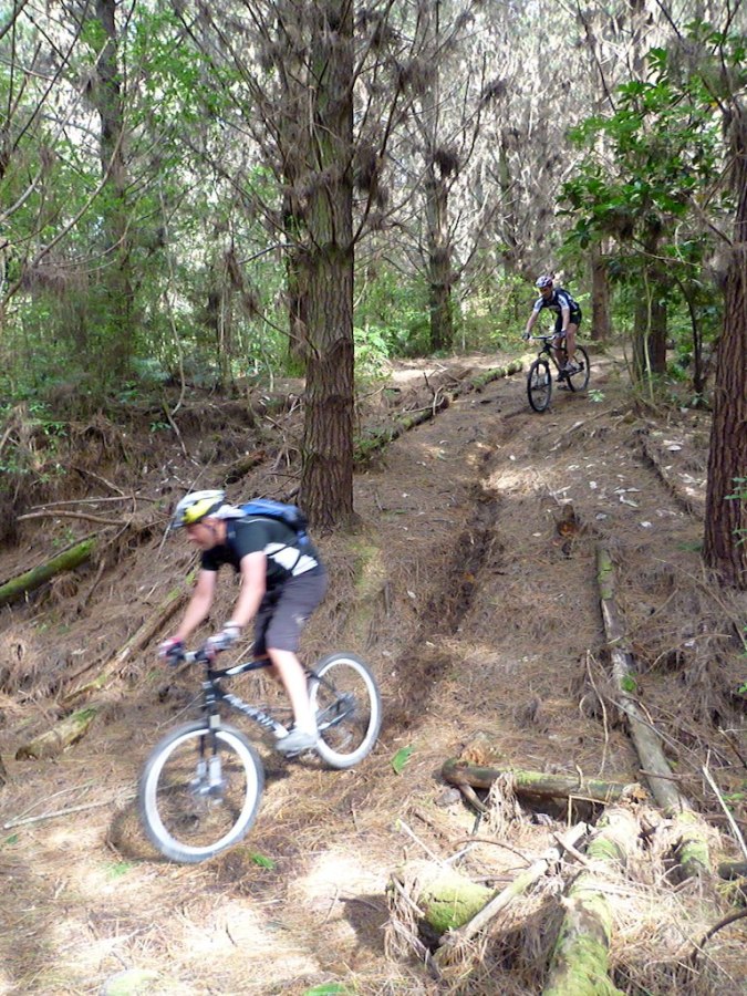 Steep & Slippy at Whitford