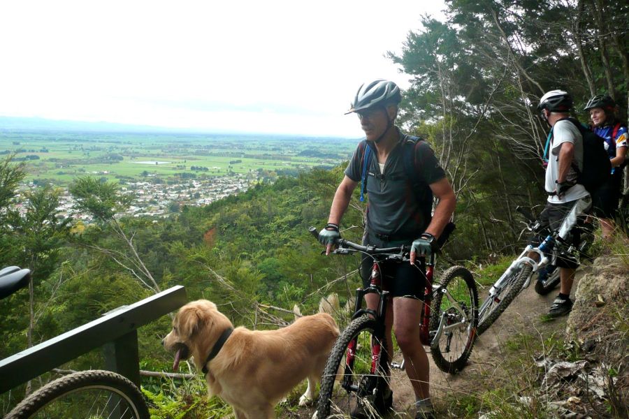 Looking over the Waikato from the Gum To Native track, Te Aroha