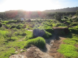 Muriwai Pump Track 1
