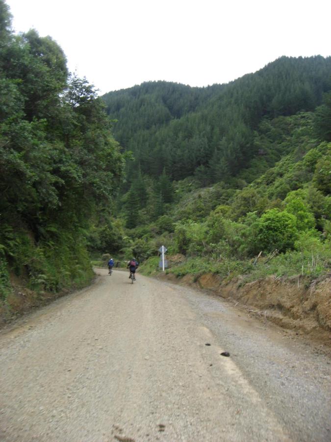 The Motu Road, onwards and upwards...