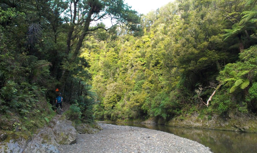 River Crossing on the Te Waiti Track