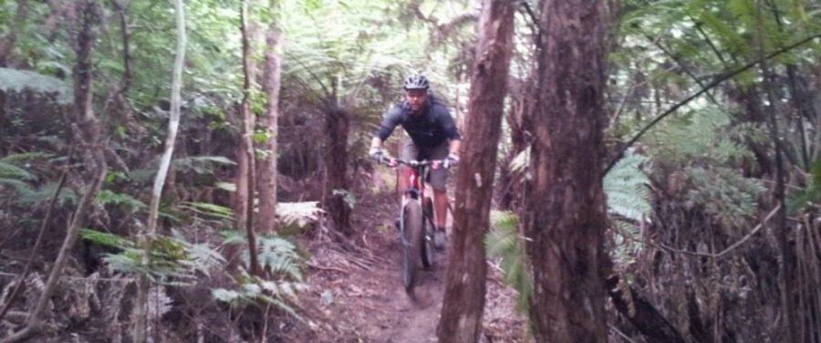 Glenn finds his flow at Royal Albany