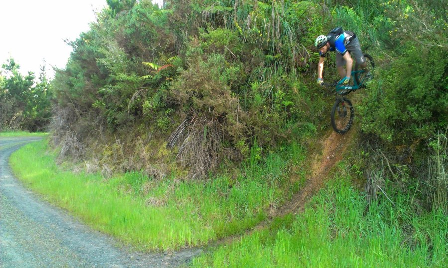 Tad emerges from the Riverhead gorse
