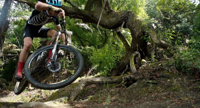 12356911_411010469108448_5063119423373747606_o